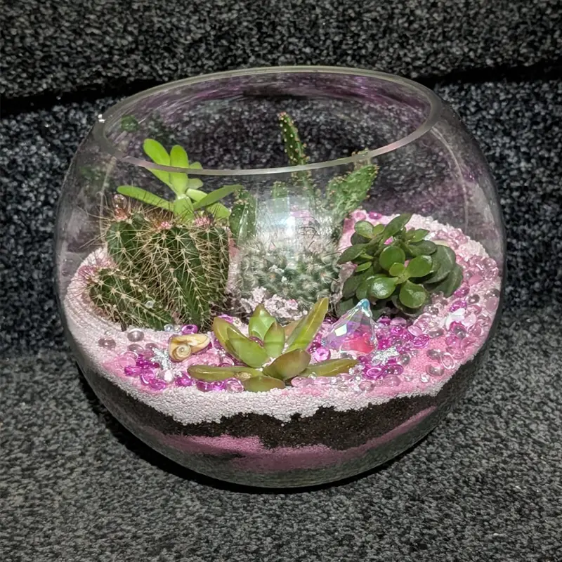 Terrarium-opt