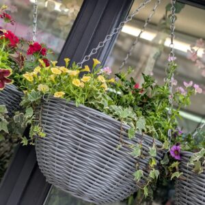 Round Hanging Baskets