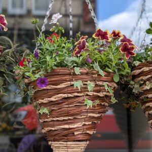 Cone Hanging Baskets